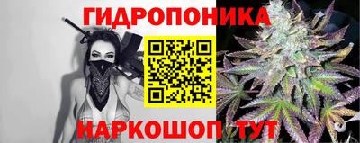 гидра Партизанск