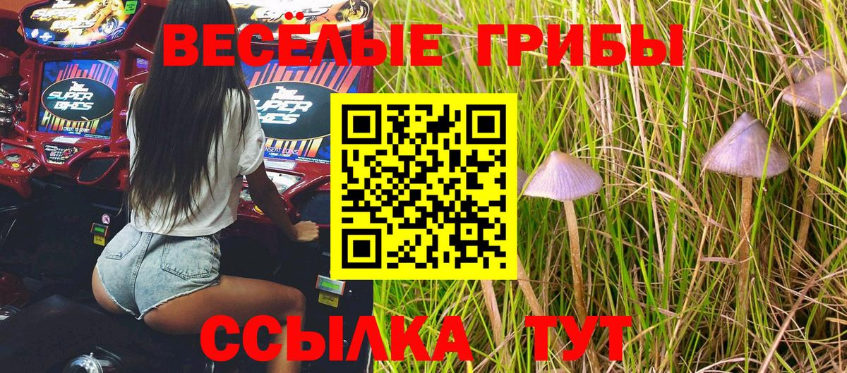 Псилоцибиновые грибы мухоморы Ростов Великий