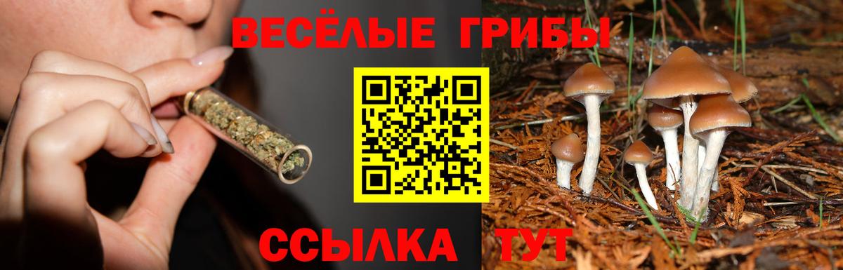 купить наркоту  Вход с VPN  Ростов Великий  Галлюциногенные грибы GOLDEN TEACHER  Псилоцибиновые грибы мицелий 